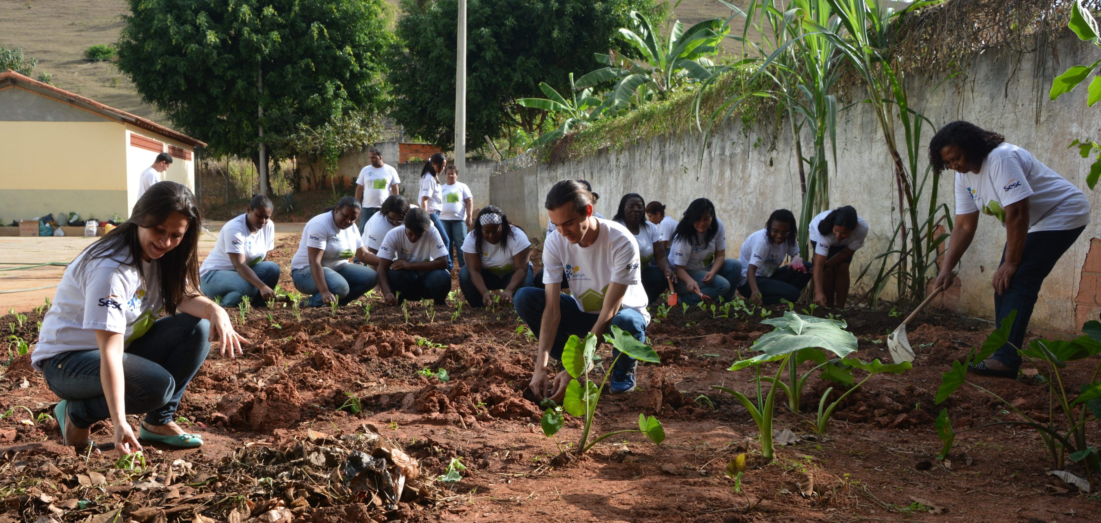 Horta Comunitária e Caseira foi o tema do novo aprendizado