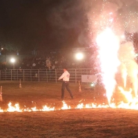Quem venceu? Touros ou peões?