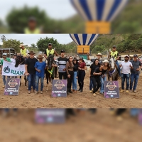 Mangalarga Marchador: espetáculo à parte na Expo-Macuco 