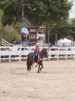 Marchas Picada e Batida ditando o ritmo dos equinos na pista