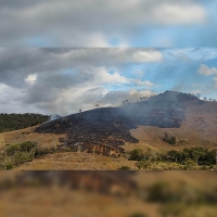 Incêndio criminoso é contido às margens da RJ-116 em Macuco