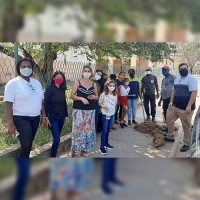 Macuco celebra o Dia da Árvore com ação comunitária