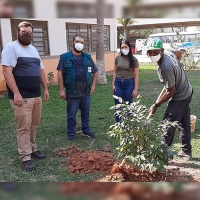 Rural Park também ganha presente no Dia da Árvore