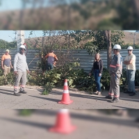 Manutenção da rede elétrica nas ruas do município