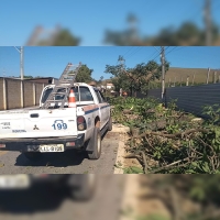 Município segue realizando serviços de poda de árvores