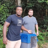 Equipe de Meio Ambiente devolve animal silvestre à natureza
