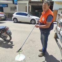 Defesa Civil de Macuco captura cobra no centro da cidade
