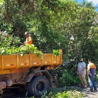Secretaria de Meio Ambiente realiza serviços de manutenção