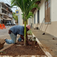 Verde, vida e beleza em Macuco