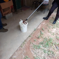 Defesa Civil realiza captura de cobra na Reta