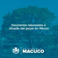 Documentos relacionados à situação das garças em Macuco