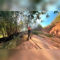 Incêndio mobiliza Defesa Civil e Bombeiros em Macuco