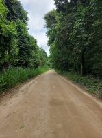 Vistorias e manutenções garantem tráfego e apoio ao produtor rural