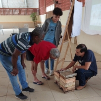 Macuquenses ganham cursos na área de apicultura 
