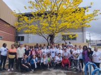 Florescer do Ipê emociona a Terceira Idade